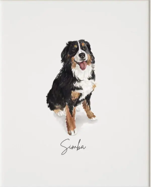 Pet Lover's Bundle